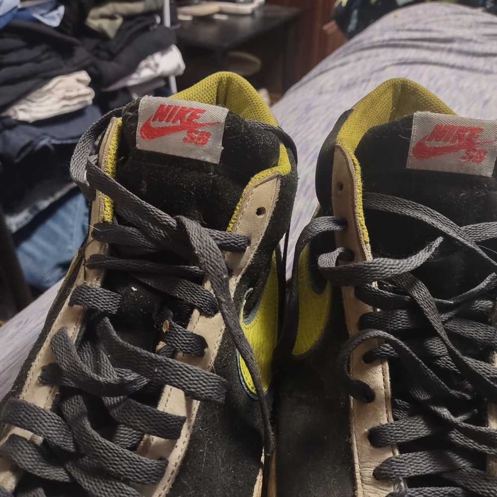 Nike sb